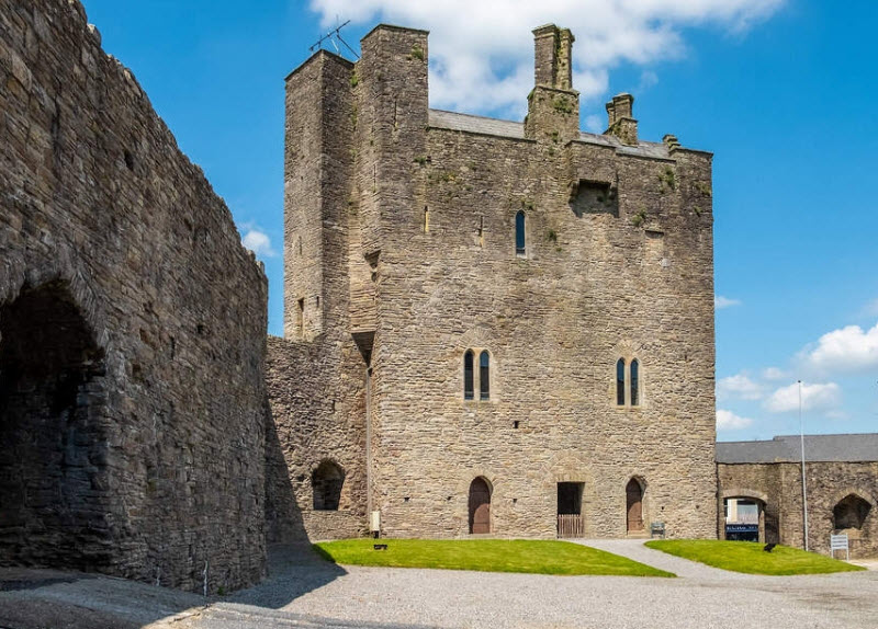 Roscrea Castle, Roscrea, Ireland, Ireland